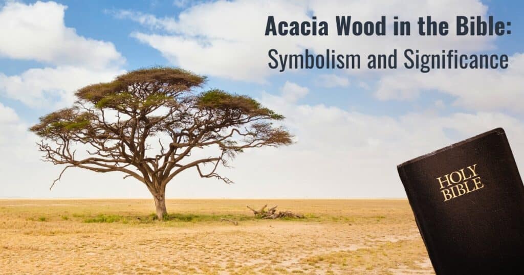 Acacia Wood In The Bible