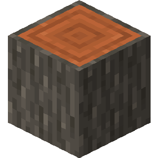 Minecraft Acacia Wood Block